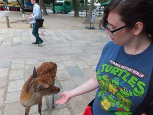 Jordan interacts with deer in the city of Nara. Photo by Jose Ramos, September 12, 2013